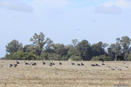 Una vuelta por el campo (mayo 2021)