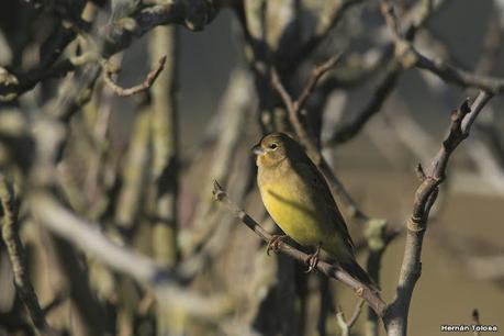 Una vuelta por el campo (mayo 2021)
