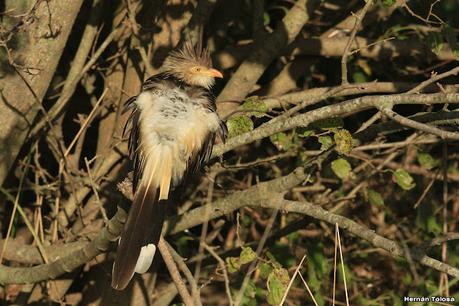 Una vuelta por el campo (mayo 2021)
