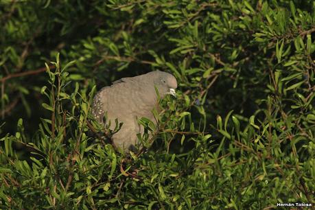 Una vuelta por el campo (mayo 2021)