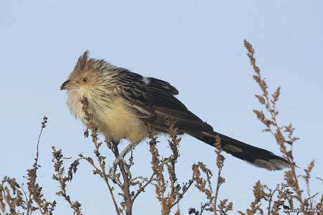 Una vuelta por el campo (mayo 2021)
