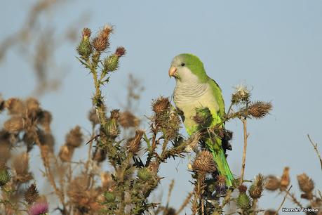 Una vuelta por el campo (mayo 2021)