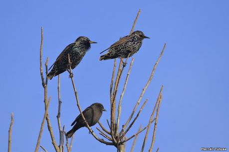 Una vuelta por el campo (mayo 2021)
