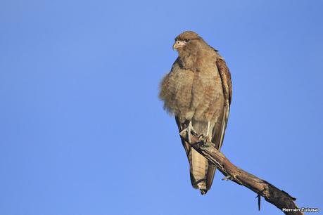 Una vuelta por el campo (mayo 2021)