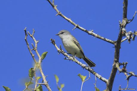 Una vuelta por el campo (mayo 2021)