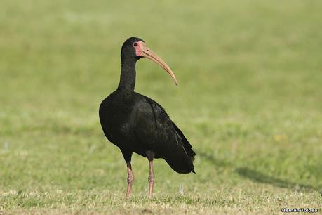 Una vuelta por el campo (mayo 2021)