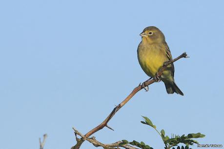 Una vuelta por el campo (mayo 2021)