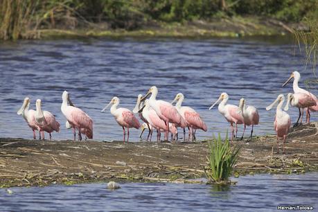 Una vuelta por el campo (mayo 2021)