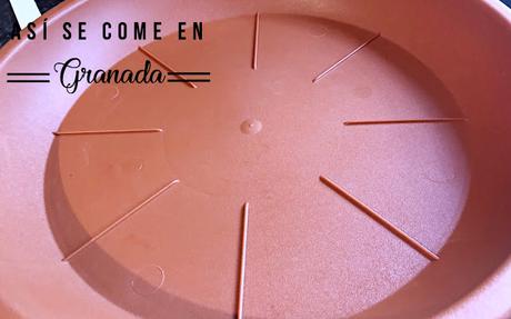 Cupcake terrario para Pascua sin gluten y sin lactosa