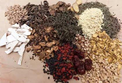 India: OMS establece el primer centro mundial de medicina tradicional