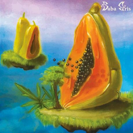 Baba Gris - Bhava (2016)