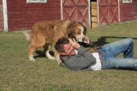 La razón de estar contigo se estrena en Studio Universal el martes 26 de abril DP4