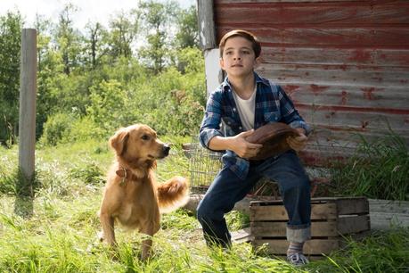 La razón de estar contigo se estrena en Studio Universal el martes 26 de abril DP1