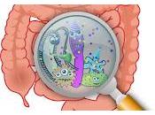 Elección sobre comer completamente nuestra