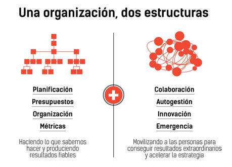 Organizaciones duales: jerarquía y redarquía