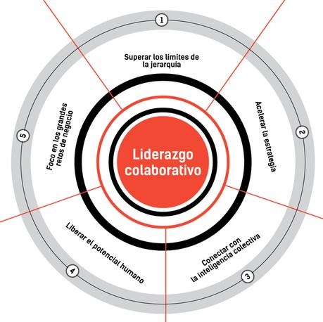 Organizaciones duales: jerarquía y redarquía