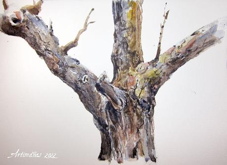 Árboles y paisajes. Acuarelas. Árboles y paisajes. Acuarelas.