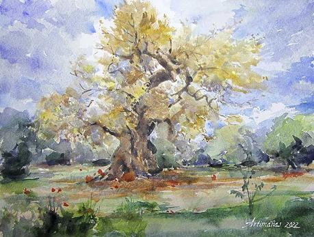 Árboles y paisajes. Acuarelas. Árboles y paisajes. Acuarelas.