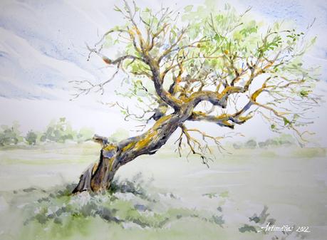 Árboles y paisajes. Acuarelas. Árboles y paisajes. Acuarelas.