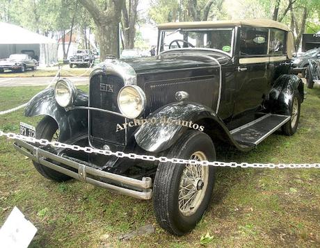 La Preguntita del Domingo 429 La Preguntita del Domingo 429