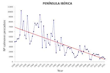 ¿Debería permitirse comercializar el urogallo antes de que se extinga?