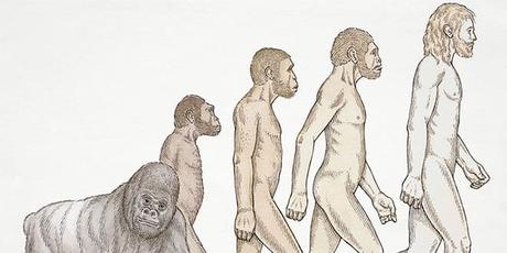 Teorias de la evolución del hombre