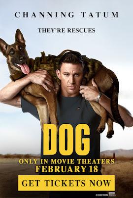 DOG. UN VIAJE SALVAJE (DOG) (USA, 2022) Vida normal, Melodrama