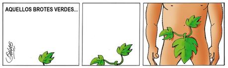 BROTES VERDES SALGADO