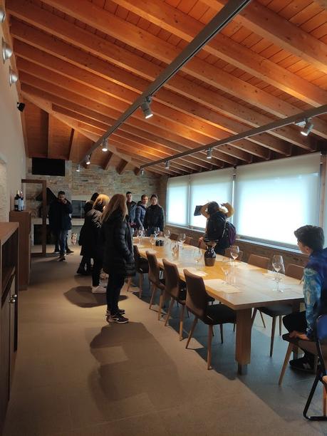 Visita al columpio de las Lamas del Picón y las Bodegas Gancedo de Quilós 3