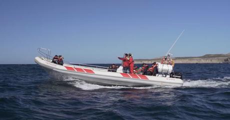 HIS - POR ACA NO - 15