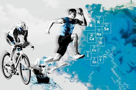 Quinton lanza la nueva web de Totum Sport, su gama de nutrición deportiva avanzada