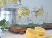 Licuados para desinflamar vesícula: recomendables