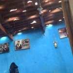 (video) Enormes granizos caen en el municipio de Villa Hidalgo