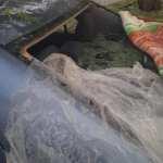 (video) Enormes granizos caen en el municipio de Villa Hidalgo