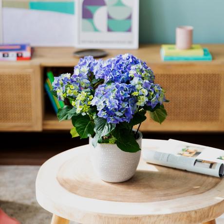 Ideas de regalos para el día de la madre