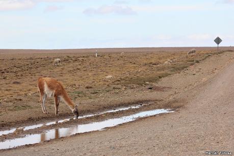 Ruta provincial 1 (Santa Cruz) Ruta provincial 1 (Santa Cruz)