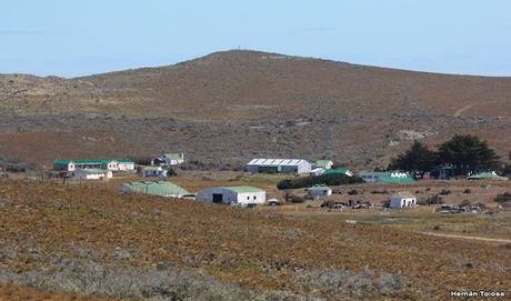 Ruta provincial 1 (Santa Cruz)