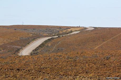 Ruta provincial 1 (Santa Cruz)