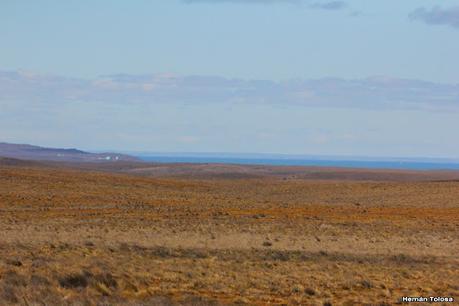 Ruta provincial 1 (Santa Cruz)