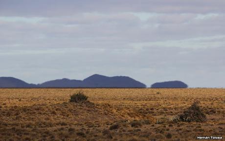 Ruta provincial 1 (Santa Cruz) Ruta provincial 1 (Santa Cruz)