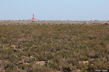 Ruta provincial 1 (Santa Cruz)