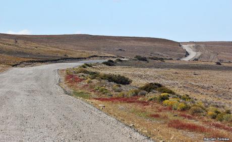 Ruta provincial 1 (Santa Cruz)