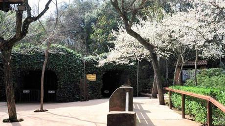 Plan en familia visitando las grutas y cuevas más apasionantes