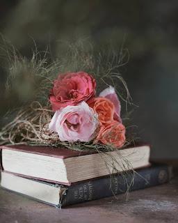 5.066 - SE ACERCA MAYO...