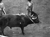 1912:José Fuentes, Plaza Toros Cuatro Caminos
