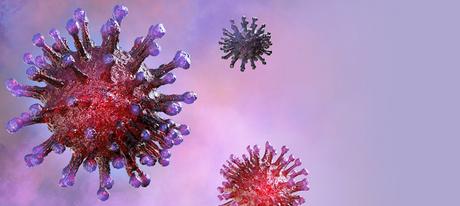 El cambio climático causará que más virus pasen de animales a humanos