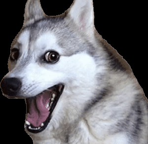 Vivir de un blog – Resumen de abril 2022