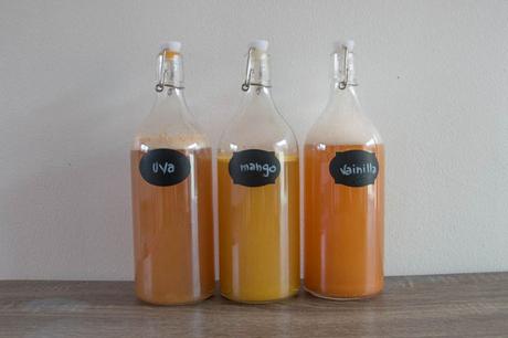 segunda-fermentacion-kombucha