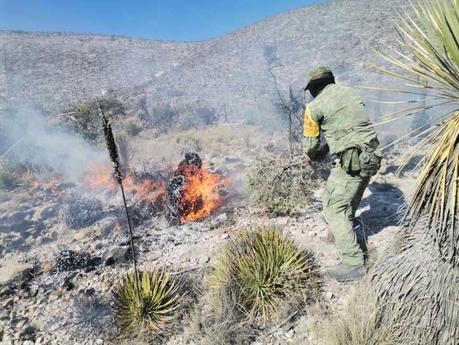 Ejercito apoya para combatir incendio forestal en Charcas