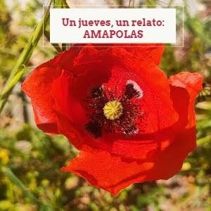 Un jueves, un relato: Amapolas.